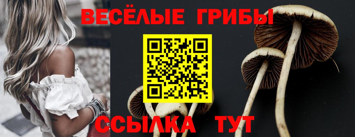 Галлюциногенные грибы ЛСД  Вход с VPN  Галлюциногенные грибы ЛСД  Назарово 